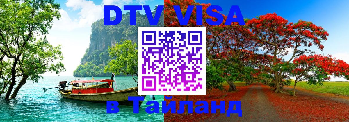 Сколько стоит DTV виза — актуальные цены, оформление даже без документов - Новошахтинск  20.11.2025 